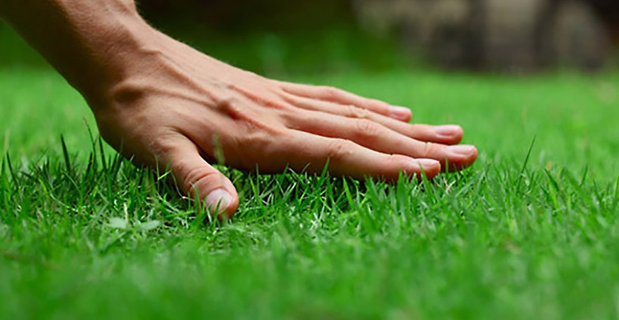 lawn and landscape maintenance